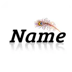 Name Art - Stylish Name Maker icon