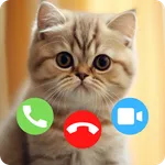 Cat Fake Call & Cat Wallpaper icon