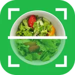 CaloVision: AI Calorie Counter icon