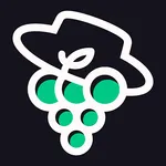 Les aventures de Saint Verny icon