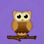 Flux:warm your screen at night icon