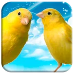 Canto de Canarios timbrados icon