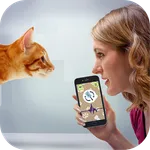 Cat Language Translator - Meow icon