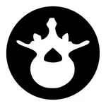CarboFix Spine icon