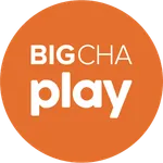 빅차 플레이 icon