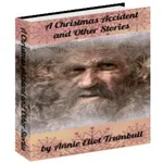eBook Reader A Christmas Accid icon