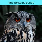 Ringtones buhos, tonos y sonid icon