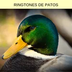 ringtones de patos, tonos y so icon