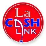 CashLink icon