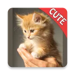 Cute Cats Memory Matching Game icon