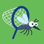 Catch The Mosquito icon