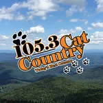 105.3 Cat Country icon