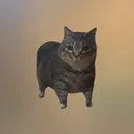 Spinning Cat AR - CatSpin Meme icon