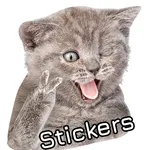 WASticker: Cat Stickers icon