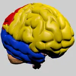 Cerebro RV icon