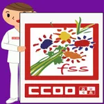 FSS - CCOO CYL icon