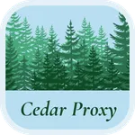 Cedar VPN icon