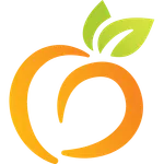 Peach State Health Plan icon