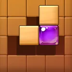 Block Sudoku - Wood Puzzle icon