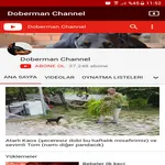 Doberman Channel icon
