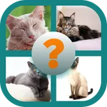 CATS QUIZ icon