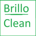 Brillo Clean icon