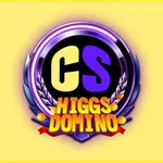 ChipStore icon