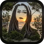 Hidden Face AI -Photo Illusion icon