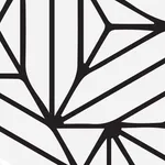 Chovain Pro icon