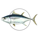 MadeiraFish icon