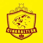 ÇınaraltıSK icon