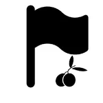 Citizenship Test.. icon