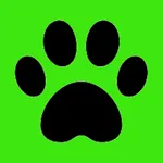 Rebreeder: dog, cat and bird s icon