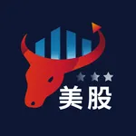 US Stock icon