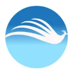 Coaching Engine icon