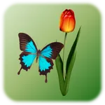 Butterfly Tap icon