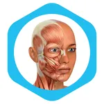 Medical Terminology Learning Q icon