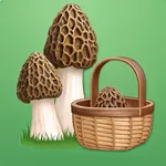Mushroom Finder:Mushroom Spots icon