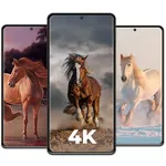 Horse Wallpapers 4K - HD icon