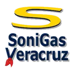 Sonigas icon