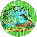 YUMI WANTOK icon