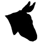 Danki icon