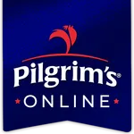 Pilgrims Online icon
