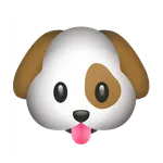 SeeSpotPlay icon