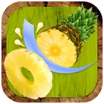 Frupico icon