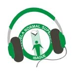 Conectando Estéreo icon