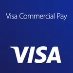 Visa Commercial Pay icon