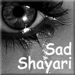 Sad  Shayari Collection icon