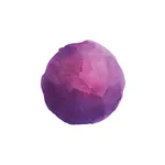 Paragon CRT® Lens Calculator icon