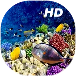 Coral Reef Live Wallpapers HD icon